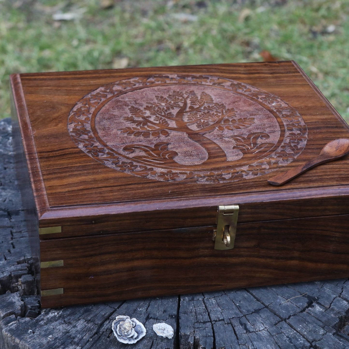 Tree of Life Anayra's Logo Handcarved on Wooden Sheesham Box of Large Size and Large Partitions.
