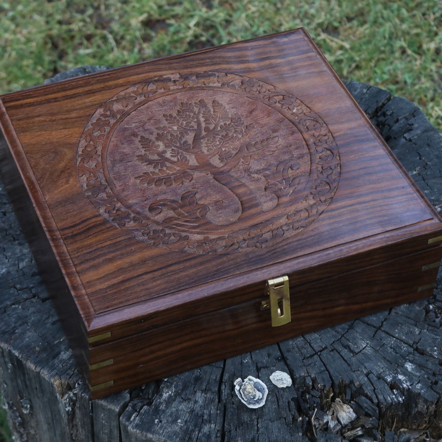Tree of Life Anayra's Logo Handcarved on Wooden Sheesham Box of Large Size and Large Partitions.