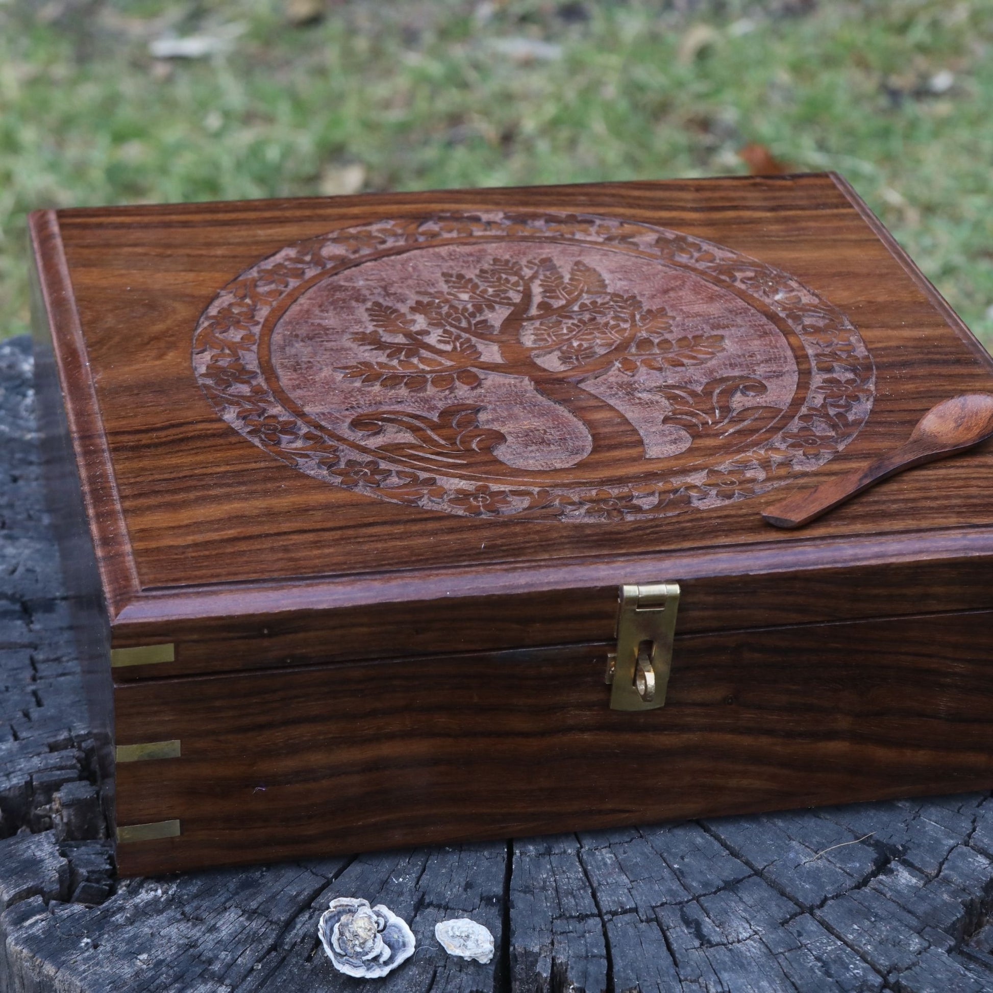 Tree of Life Anayra's Logo Handcarved on Wooden Sheesham Box of Large Size and Large Partitions. 